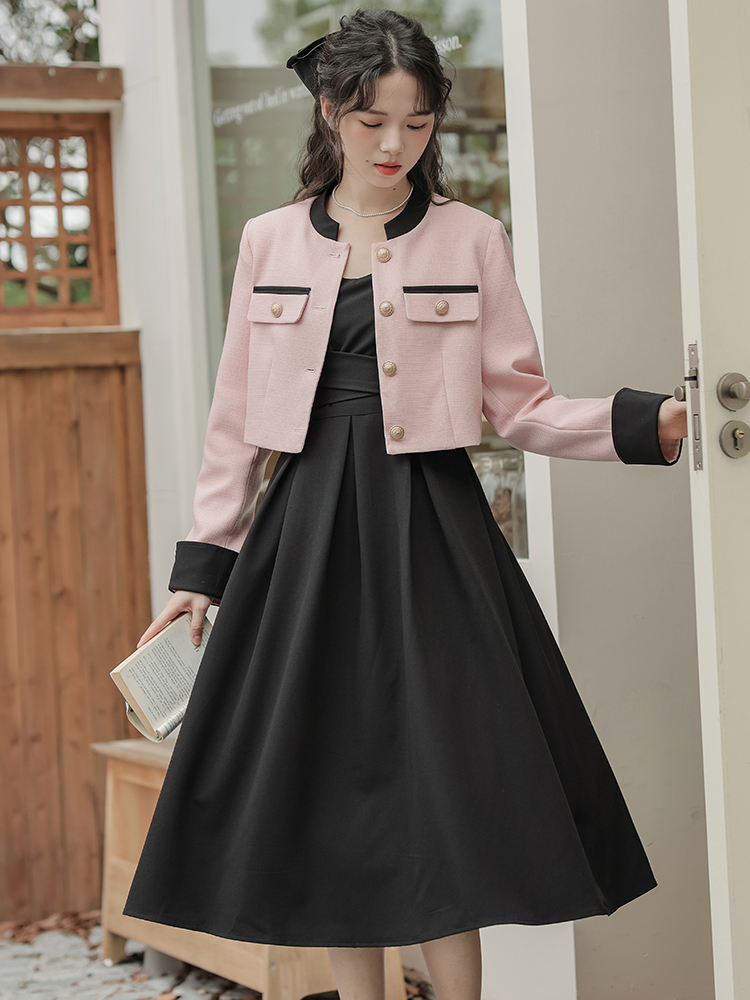 Early Autumn Pink Two-Piece Dress Set for Women 2023 Slimming - Style ec2481